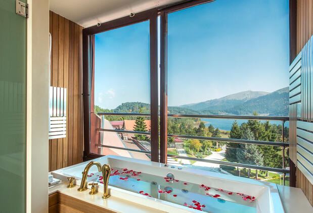 Taksim International Abant Palace Oteli - Görsel 10