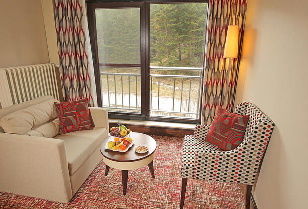 Taksim International Abant Palace Oteli - Görsel 21