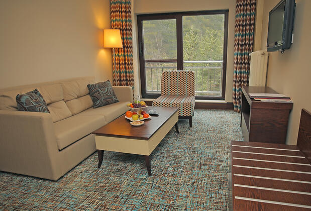 Taksim International Abant Palace Oteli - Görsel 20