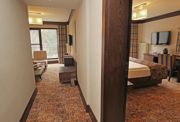 Taksim International Abant Palace Oteli - Görsel 22