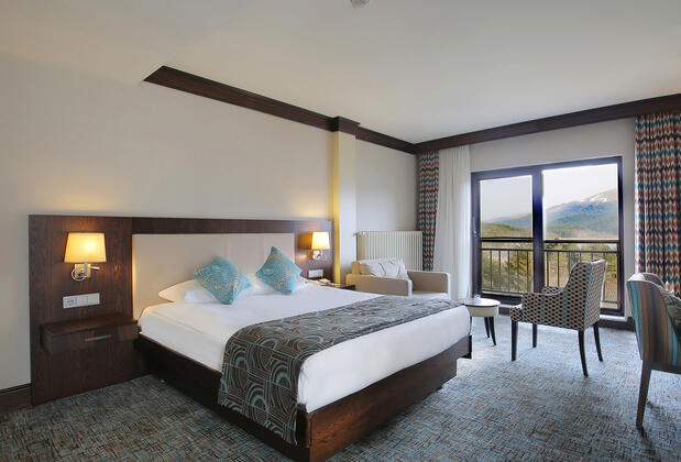 Taksim International Abant Palace Oteli - Görsel 15