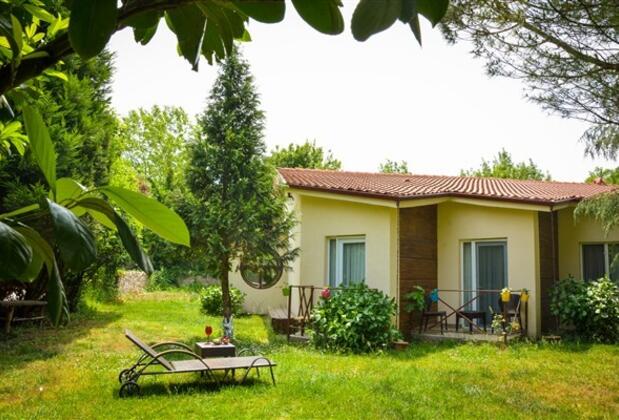 Alex Village Life - Görsel 6