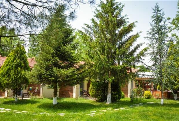 Alex Village Life - Görsel 7