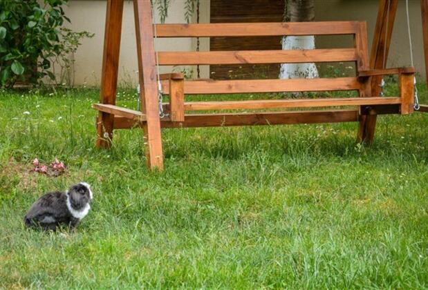 Alex Village Life - Görsel 11