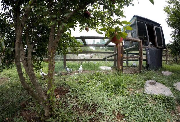 Kerpe Diem Otel - Görsel 25