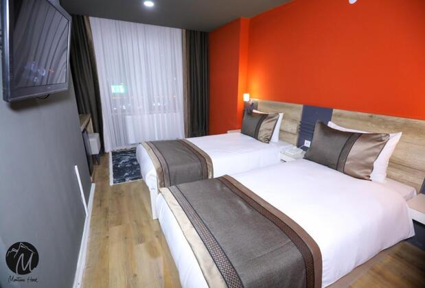 Montana Hotel Van - Görsel 3