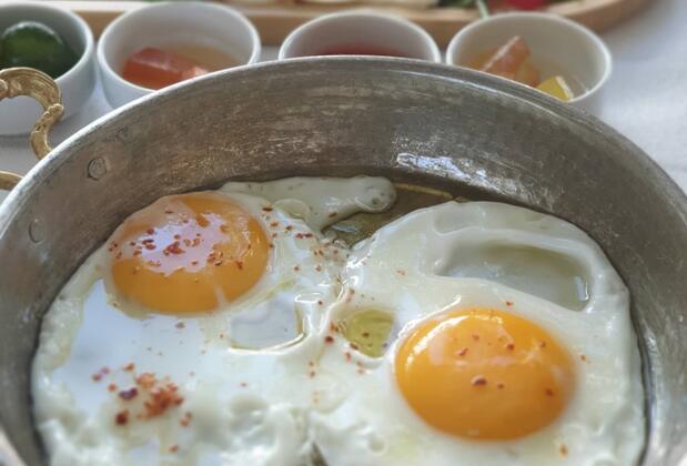 Otel Sardunya - Görsel 45