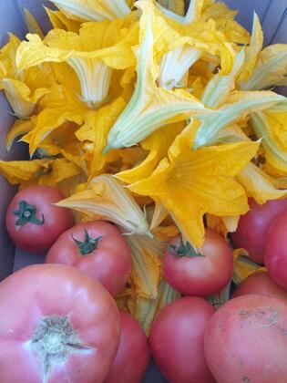 Otel Sardunya - Görsel 43