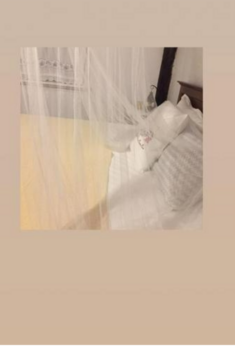 Dimitri Ada Evi & Restaurant - Görsel 8