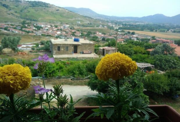 Salkım Butik Otel Gökçeada - Görsel 7