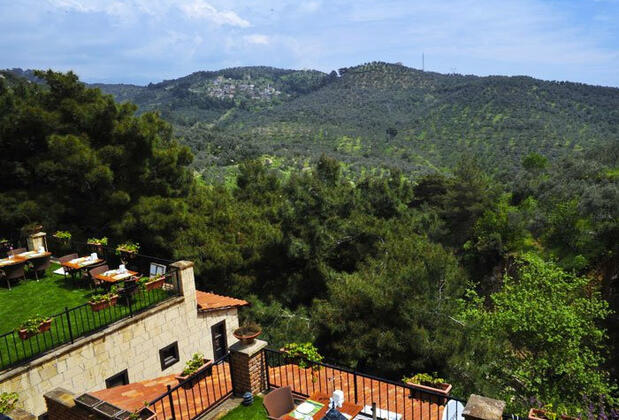 Erguvanlı Ev - Görsel 5