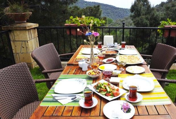 Erguvanlı Ev - Görsel 10