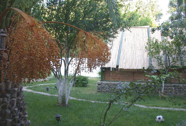 Ece Hotel (Göltürkbükü) - Görsel 5