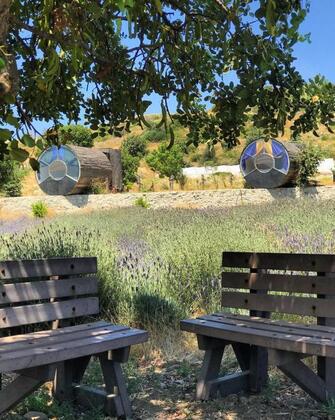 Vadi Alaçatı - Görsel 22