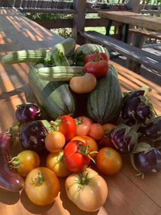 Vadi Alaçatı - Görsel 18