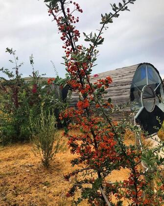 Vadi Alaçatı - Görsel 3