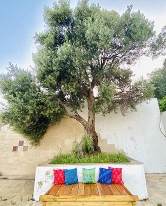 Alaçatı Barbarossa Hotel - Görsel 31