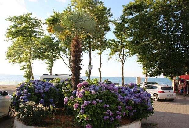 Deniz Yıldızı Pansiyon - Görsel 3