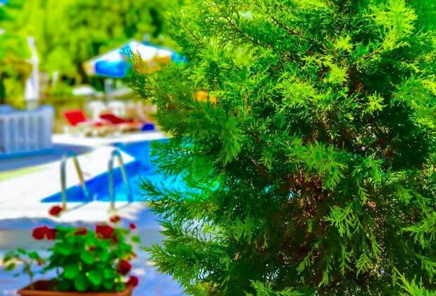 Nehir Apart Hotel - Görsel 12