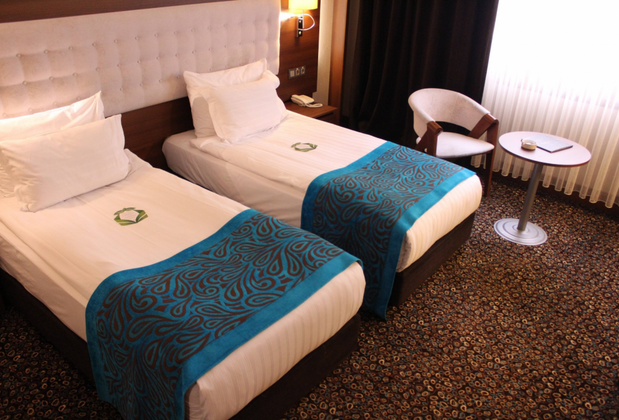 Teymur Continental Hotel - Görsel 8