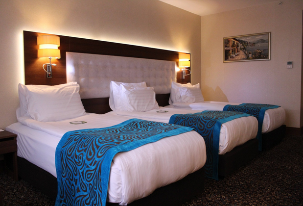 Teymur Continental Hotel - Görsel 6