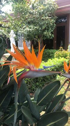 Liona Hotel - Görsel 23