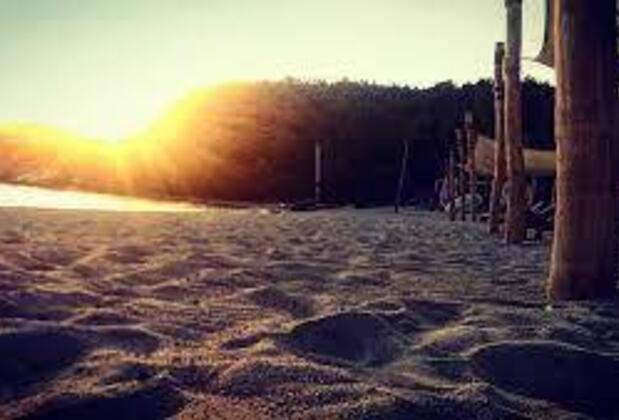 Ege Zeytin Evleri - Görsel 7