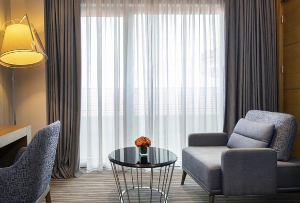 Mövenpick Hotel & Thermal Spa Bursa - Görsel 13