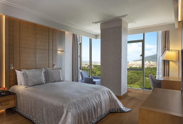 Mövenpick Hotel & Thermal Spa Bursa - Görsel 23