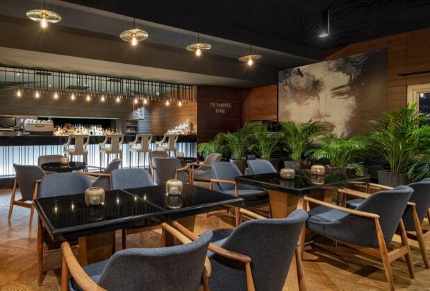 Mövenpick Hotel & Thermal Spa Bursa - Görsel 46