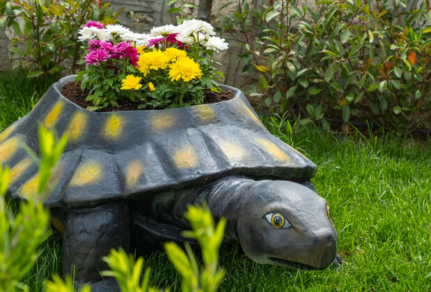 Allia Thermal Health & Spa Kazdağları - Görsel 46