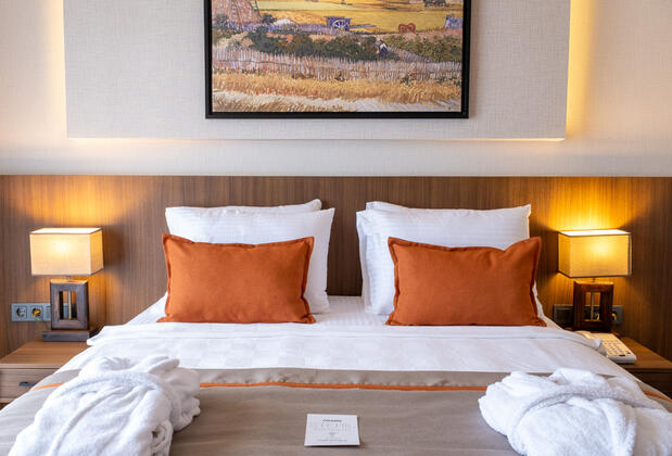 Allia Thermal Health & Spa Kazdağları - Görsel 9