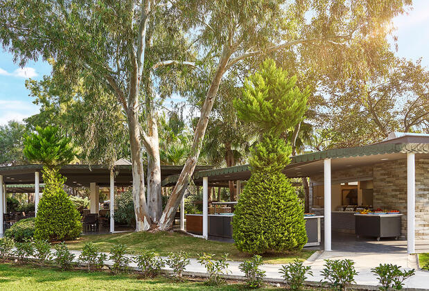 Richmond Ephesus Resort - Görsel 9