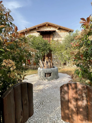 Prima Donna Premier - Görsel 28