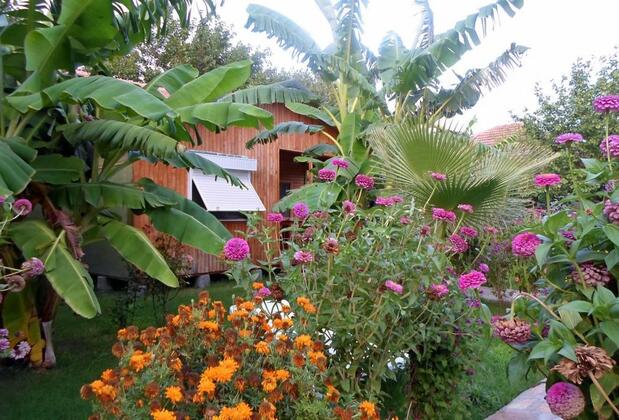 Estelar Bungalows - Görsel 3