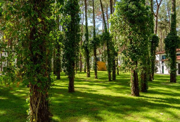 Baia Kemer Club - Görsel 5