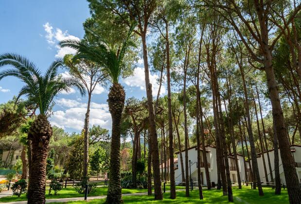 Baia Kemer Club - Görsel 4