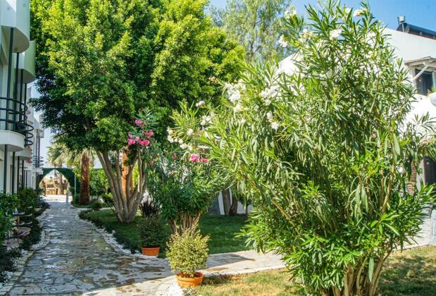 Dream Palace Bodrum Beach Club - Görsel 12