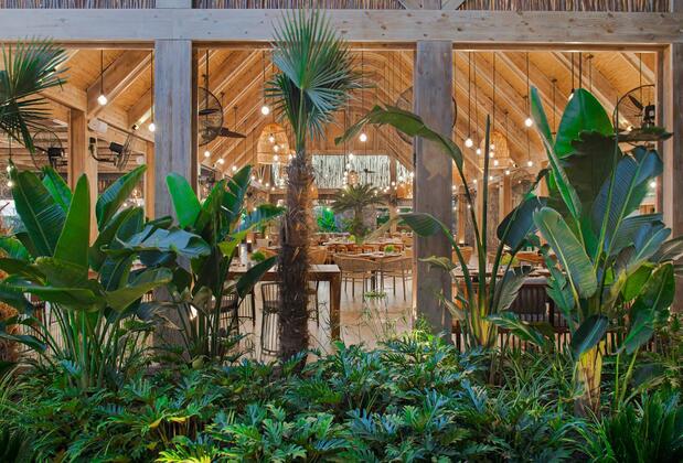 Ela Excellence Resort Belek - Görsel 21