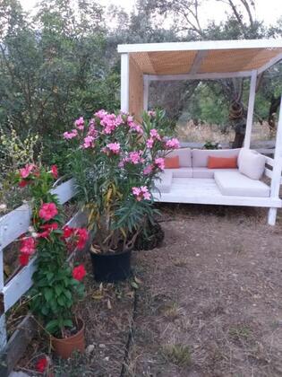 Kabuk Ev  Butik Otel  - Görsel 22