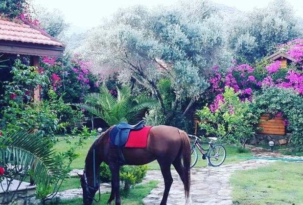 Bohem Butik Houses Datça - Görsel 20