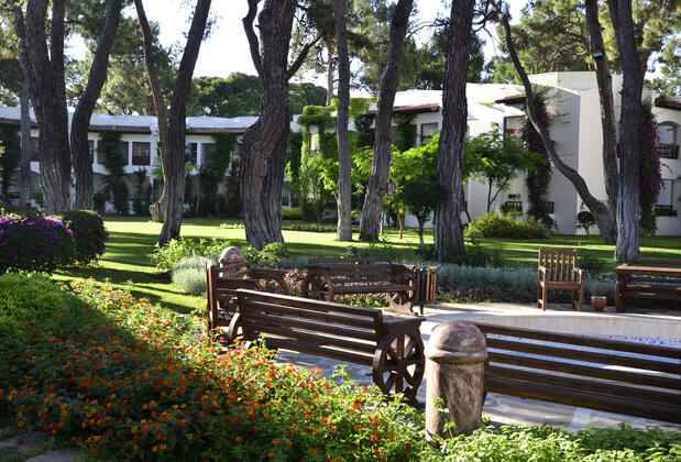 Emelda Sun Club  - Görsel 4