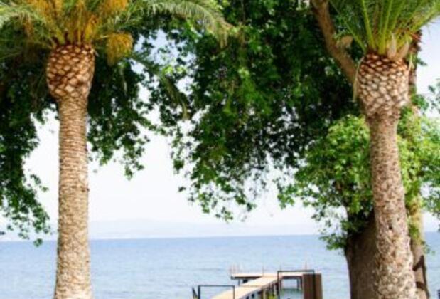 Serenita Beach Hotel - Görsel 8