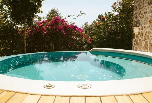 Pilos Deluxe - Görsel 5