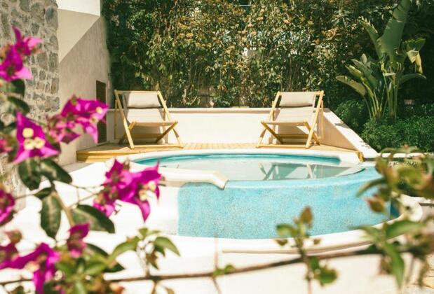 Pilos Deluxe - Görsel 3