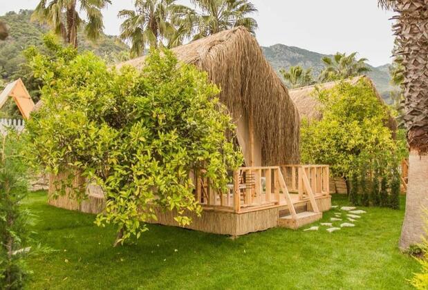 The Hill Glamping - Görsel 6