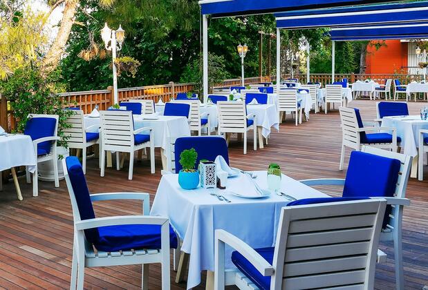 Seven Seas Gravel Select - Görsel 28