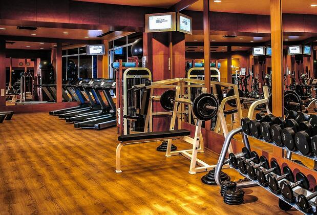 Seven Seas Gravel Select - Görsel 35