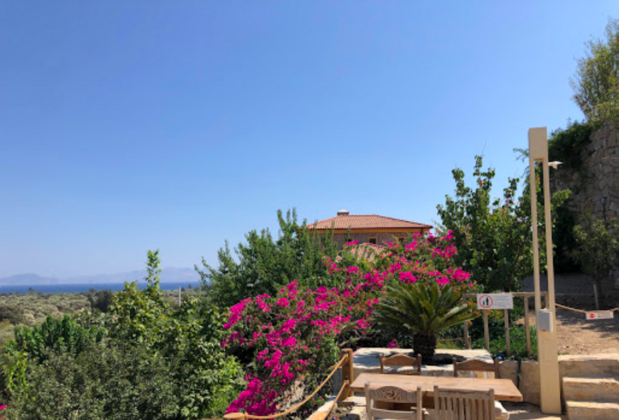 Datça Bağ - Görsel 19