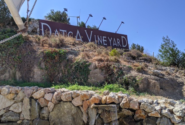 Datça Bağ - Görsel 23